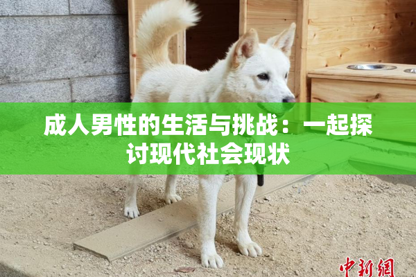 成人男性的生活与挑战：一起探讨现代社会现状