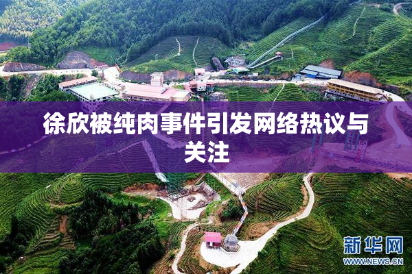 徐欣被纯肉事件引发网络热议与关注