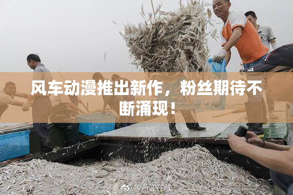 风车动漫推出新作，粉丝期待不断涌现！