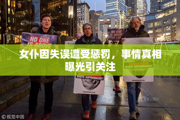 女仆因失误遭受惩罚，事情真相曝光引关注