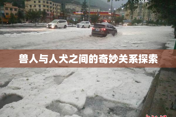 兽人与人犬之间的奇妙关系探索
