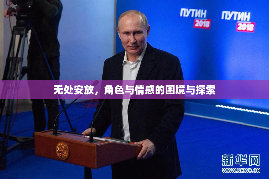 无处安放，角色与情感的困境与探索
