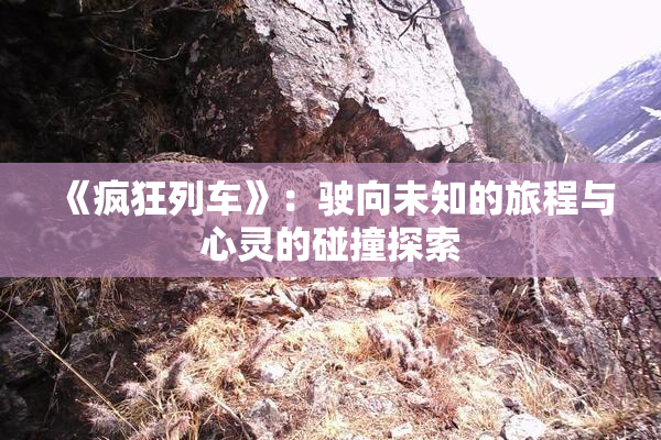 《疯狂列车》：驶向未知的旅程与心灵的碰撞探索