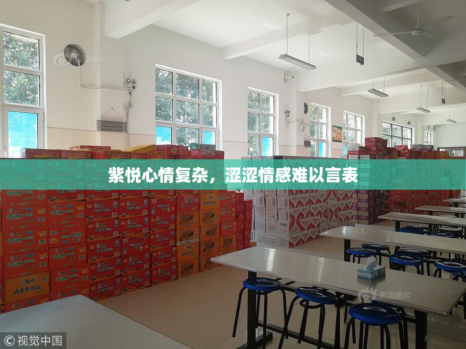 紫悦心情复杂，涩涩情感难以言表