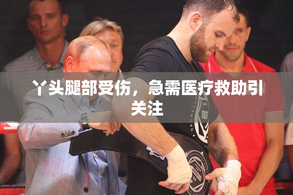 丫头腿部受伤，急需医疗救助引关注