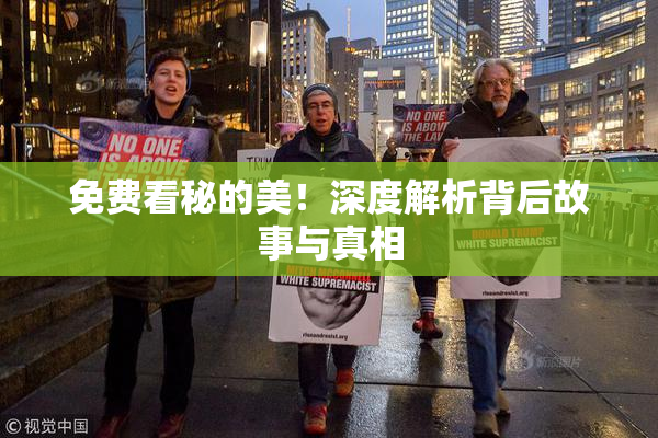 免费看秘的美！深度解析背后故事与真相