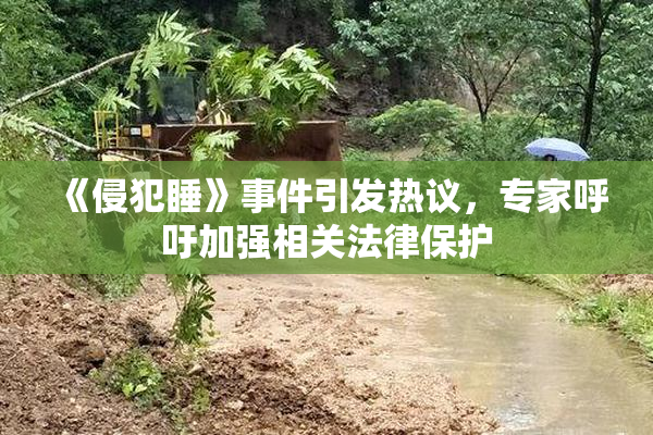 《侵犯睡》事件引发热议，专家呼吁加强相关法律保护