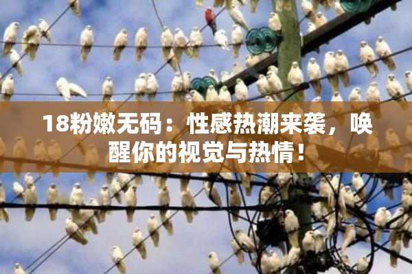 18粉嫩无码：性感热潮来袭，唤醒你的视觉与热情！