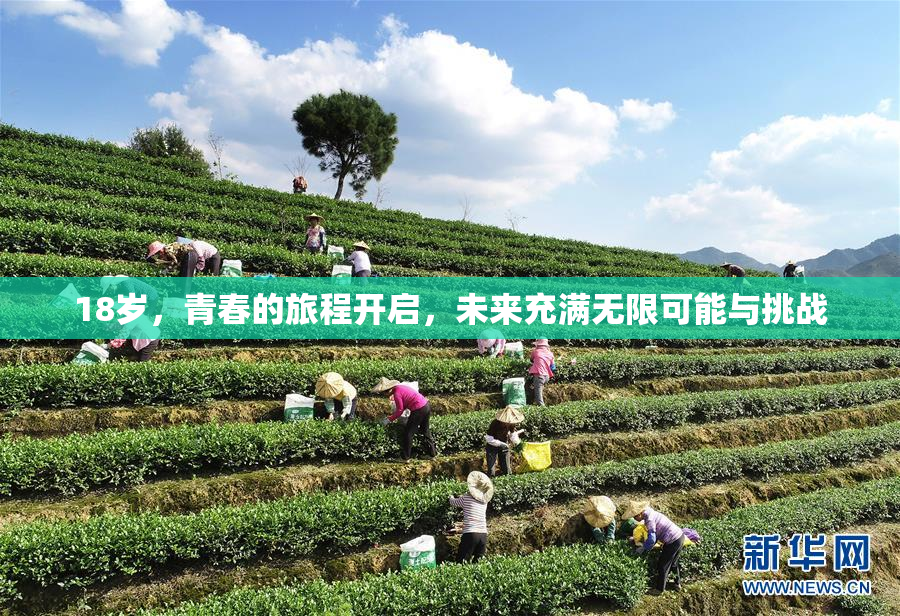 18岁，青春的旅程开启，未来充满无限可能与挑战