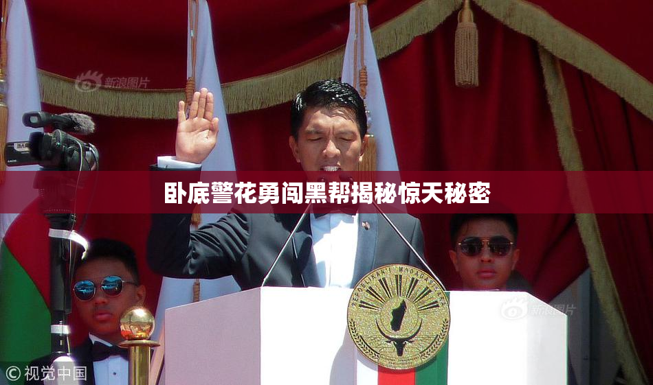 卧底警花勇闯黑帮揭秘惊天秘密