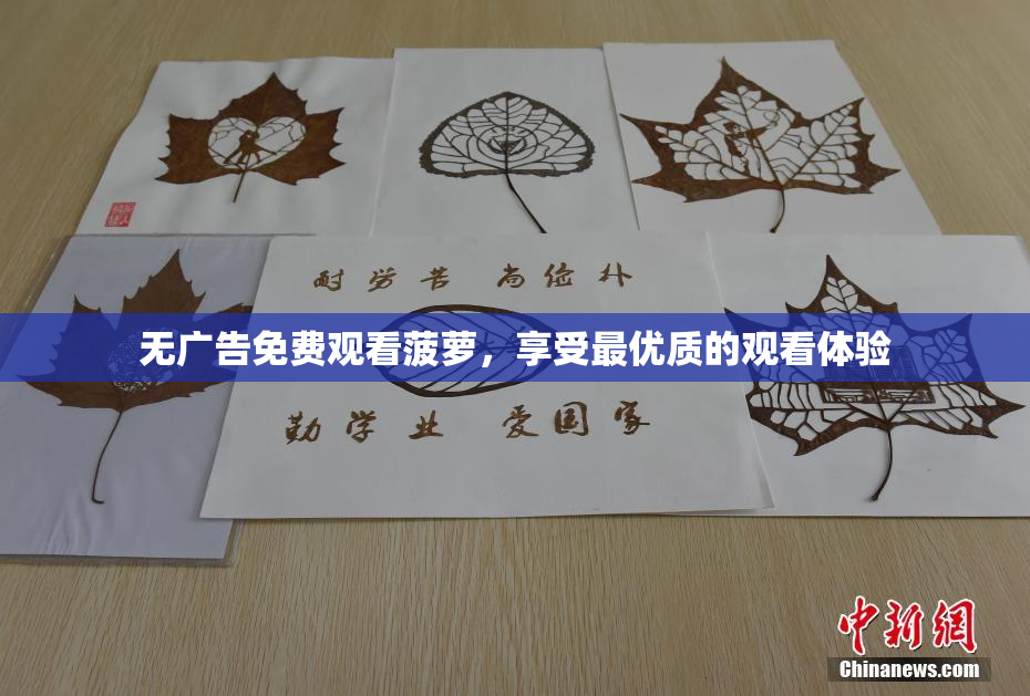 无广告免费观看菠萝，享受最优质的观看体验