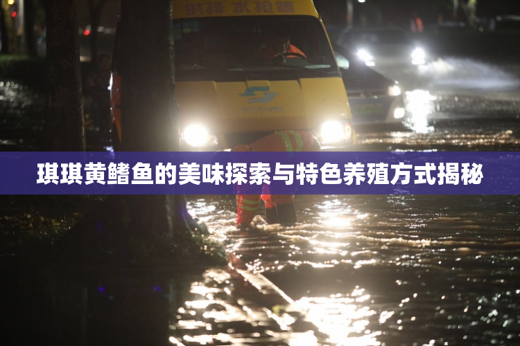 琪琪黄鳍鱼的美味探索与特色养殖方式揭秘