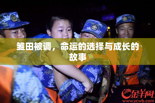 雏田被调，命运的选择与成长的故事