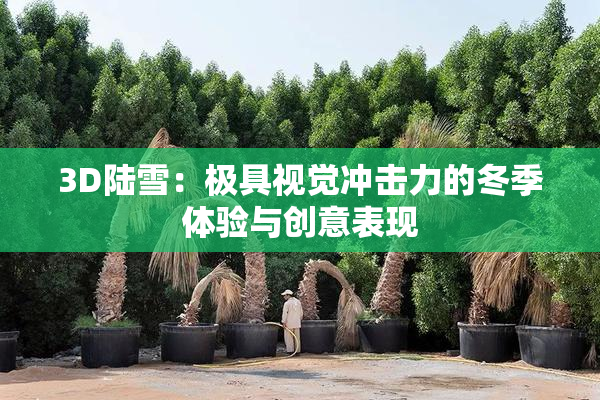 3D陆雪：极具视觉冲击力的冬季体验与创意表现
