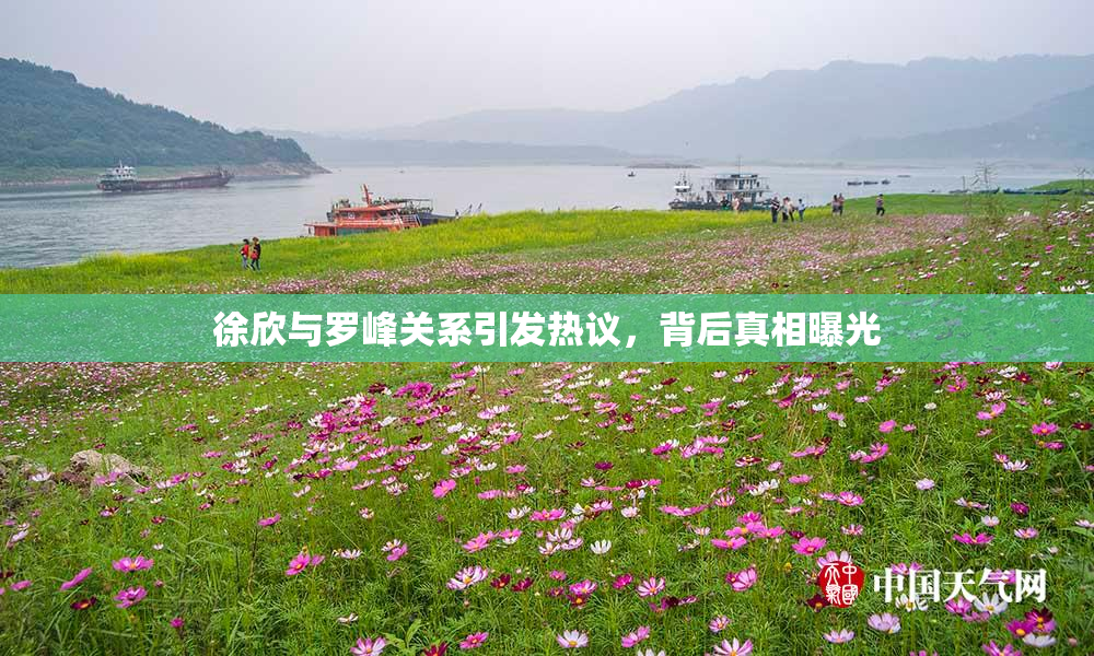 徐欣与罗峰关系引发热议，背后真相曝光