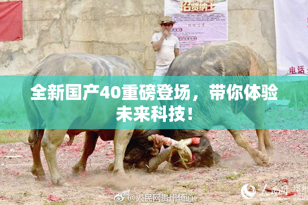 全新国产40重磅登场，带你体验未来科技！