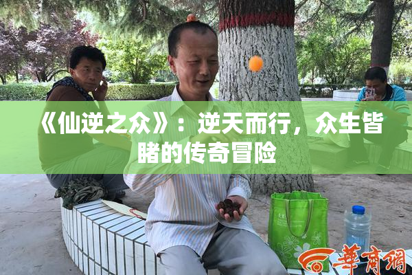 《仙逆之众》：逆天而行，众生皆睹的传奇冒险