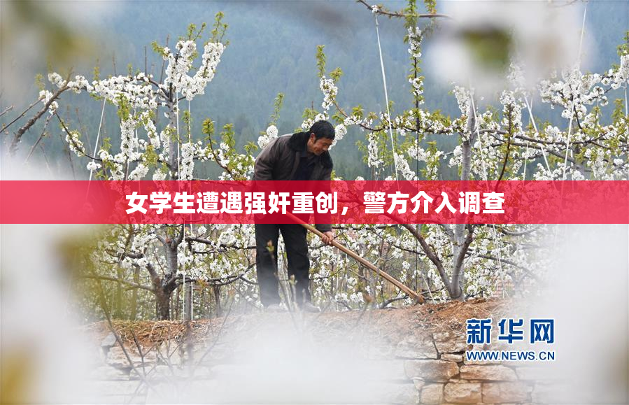 女学生遭遇强奸重创，警方介入调查