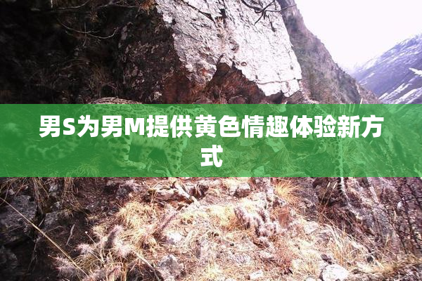 男S为男M提供黄色情趣体验新方式