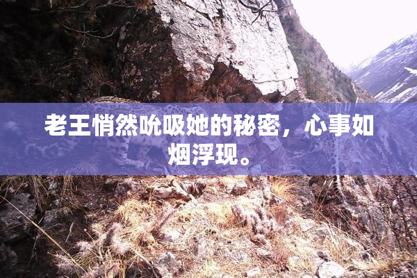 老王悄然吮吸她的秘密，心事如烟浮现。