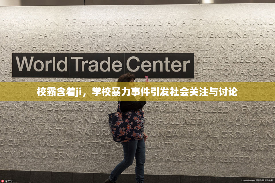 校霸含着ji，学校暴力事件引发社会关注与讨论