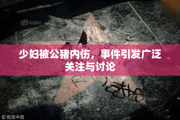 少妇被公猪内伤，事件引发广泛关注与讨论