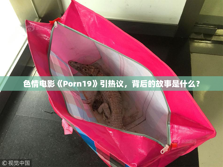 色情电影《Porn19》引热议，背后的故事是什么？