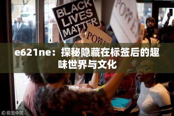 e621ne：探秘隐藏在标签后的趣味世界与文化