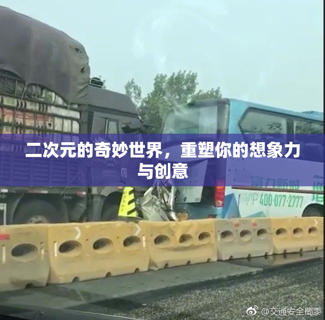二次元的奇妙世界，重塑你的想象力与创意