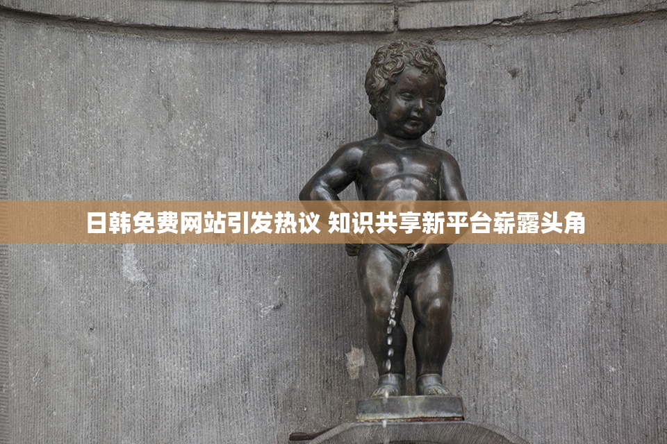 日韩免费网站引发热议 知识共享新平台崭露头角