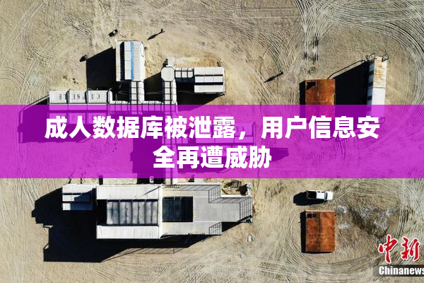 成人数据库被泄露，用户信息安全再遭威胁
