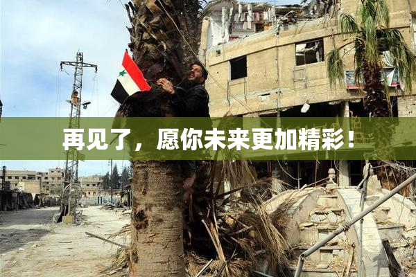 再见了，愿你未来更加精彩！