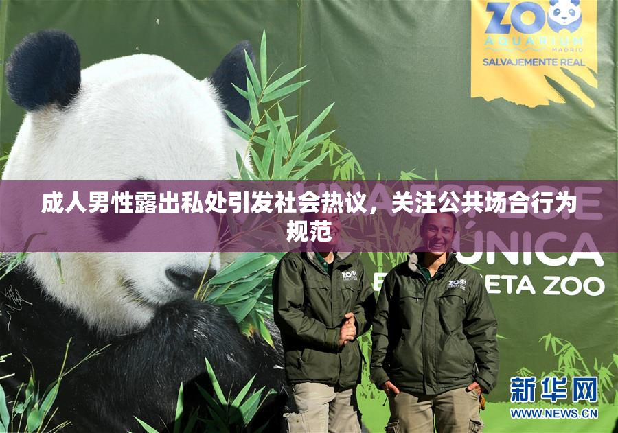 成人男性露出私处引发社会热议，关注公共场合行为规范