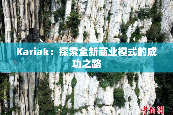 Kariak：探索全新商业模式的成功之路