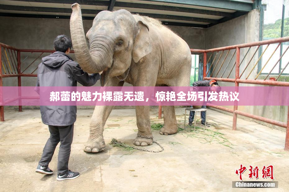 郝蕾的魅力裸露无遗，惊艳全场引发热议