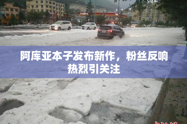 阿库亚本子发布新作，粉丝反响热烈引关注