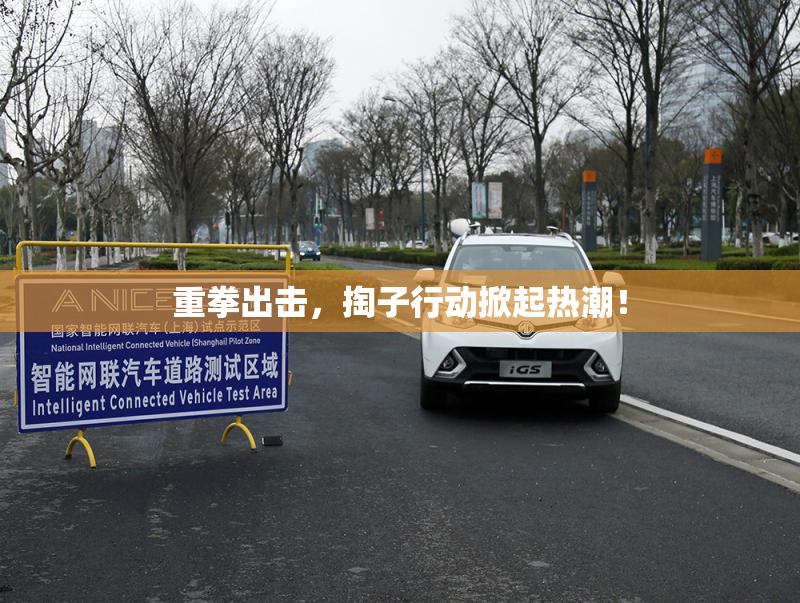 重拳出击，掏子行动掀起热潮！