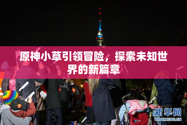 原神小草引领冒险，探索未知世界的新篇章