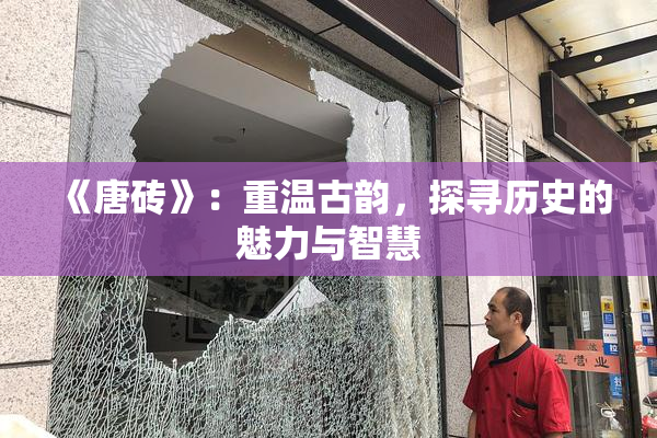 《唐砖》：重温古韵，探寻历史的魅力与智慧