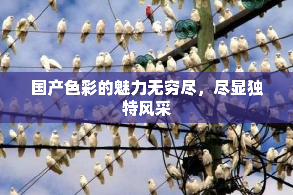 国产色彩的魅力无穷尽，尽显独特风采