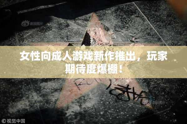 女性向成人游戏新作推出，玩家期待度爆棚！