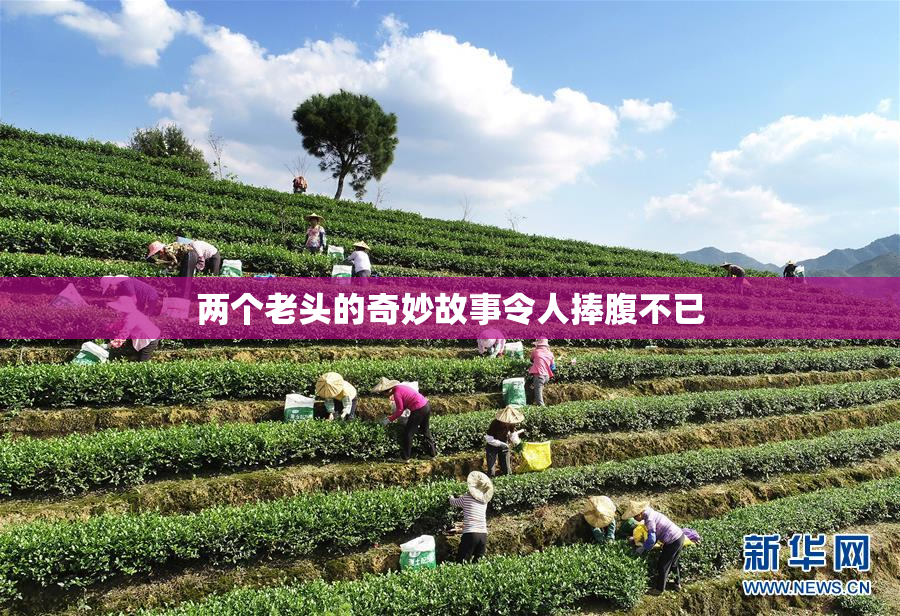 两个老头的奇妙故事令人捧腹不已