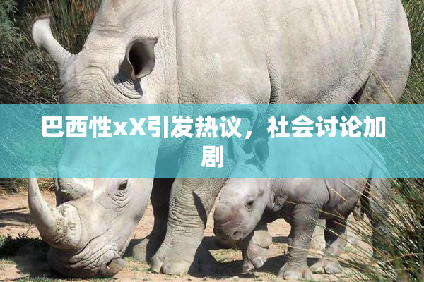 巴西性xX引发热议，社会讨论加剧