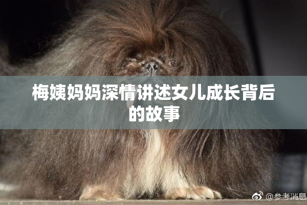 梅姨妈妈深情讲述女儿成长背后的故事