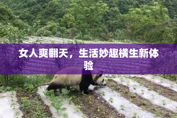 女人爽翻天，生活妙趣横生新体验