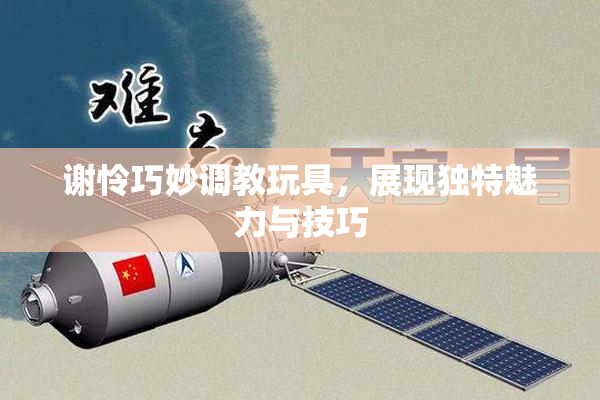 谢怜巧妙调教玩具，展现独特魅力与技巧