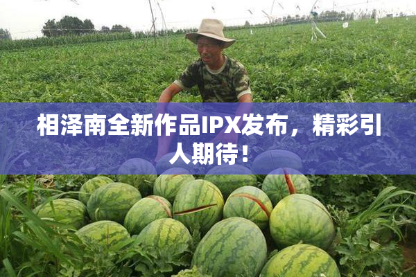 相泽南全新作品IPX发布，精彩引人期待！