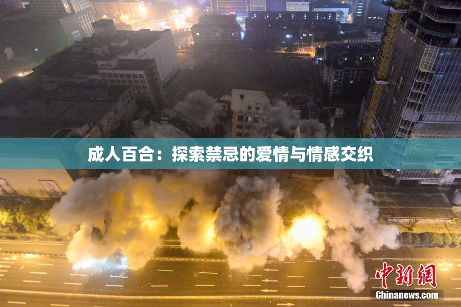 成人百合：探索禁忌的爱情与情感交织
