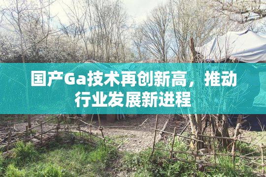 国产Ga技术再创新高，推动行业发展新进程