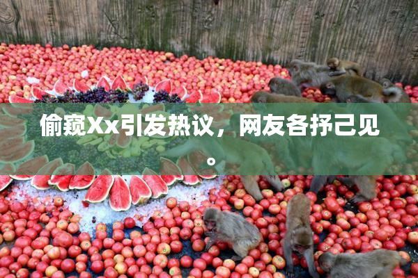 偷窥Xx引发热议，网友各抒己见。